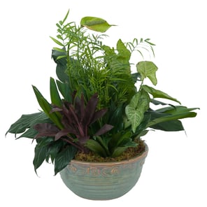 TMF-620   Medium Dish Garden