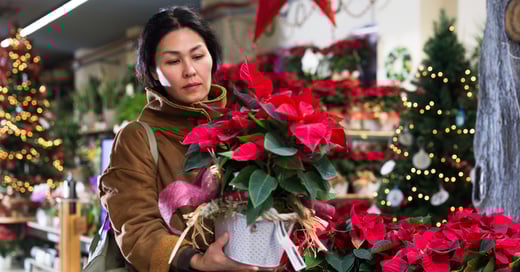 Turn Seasonal Shoppers Into Loyal Fans With Open Houses