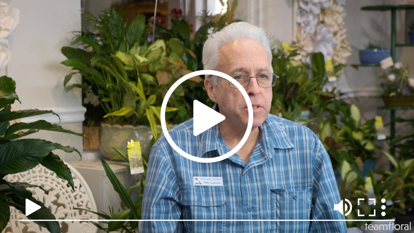 Mike Gaouette, Owner of Waverly Flowers